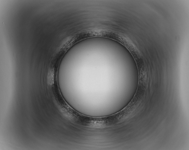 X0000116450694200912151300
