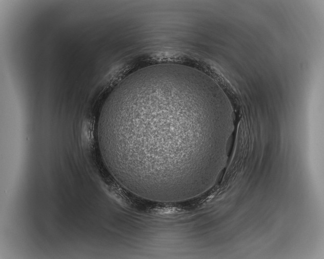 X0000116450695200912151300