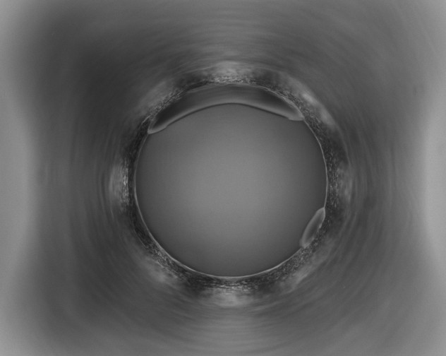 X0000116450696200912151300