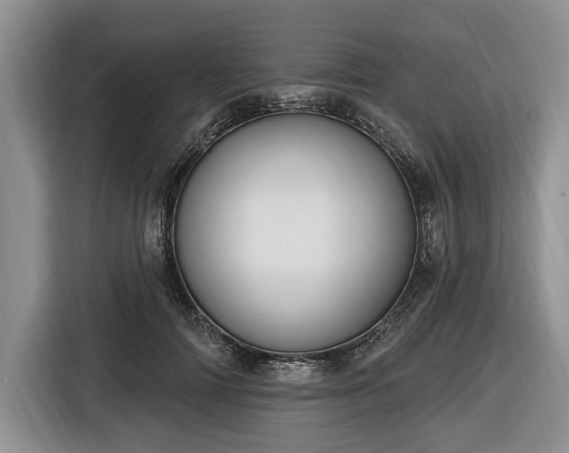 X0000116450698200912151300