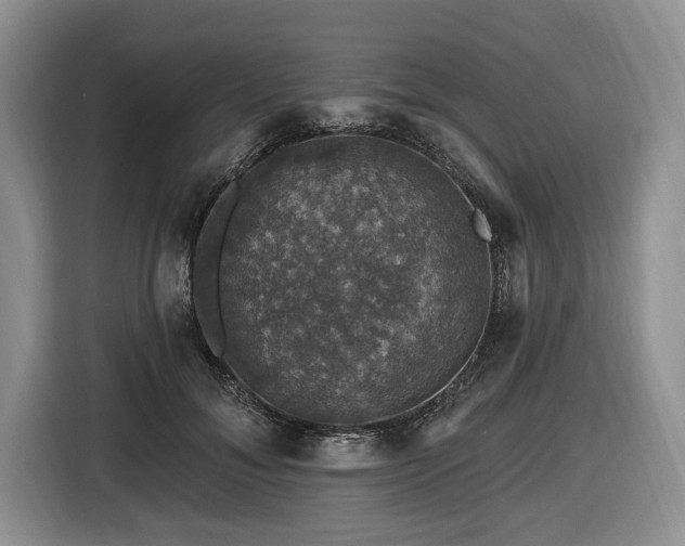 X0000116450700200912151300