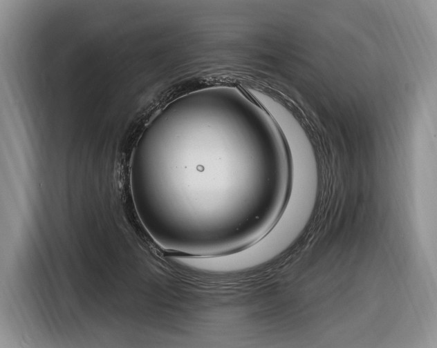 X0000116450701200912151300
