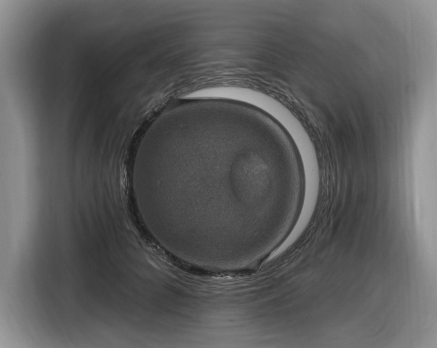 X0000116450704200912151300