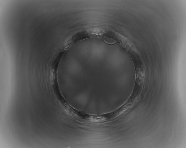 X0000116450707200912151300