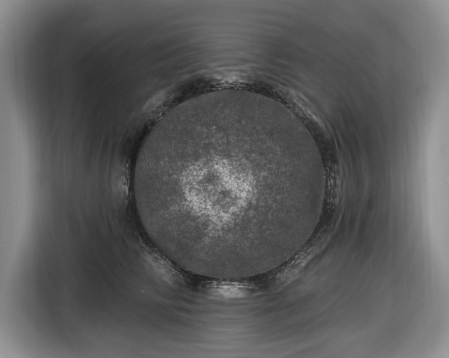 X0000116450710200912151300
