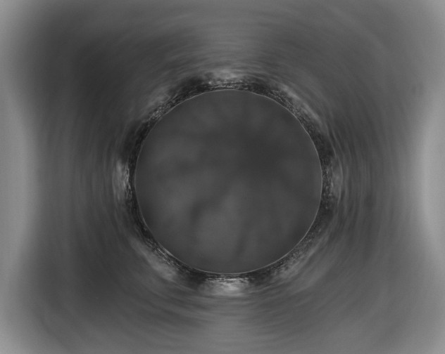 X0000116450711200912151300