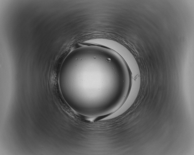 X0000116450713200912151300