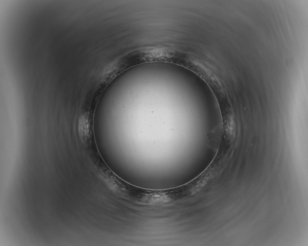 X0000116450715200912151300
