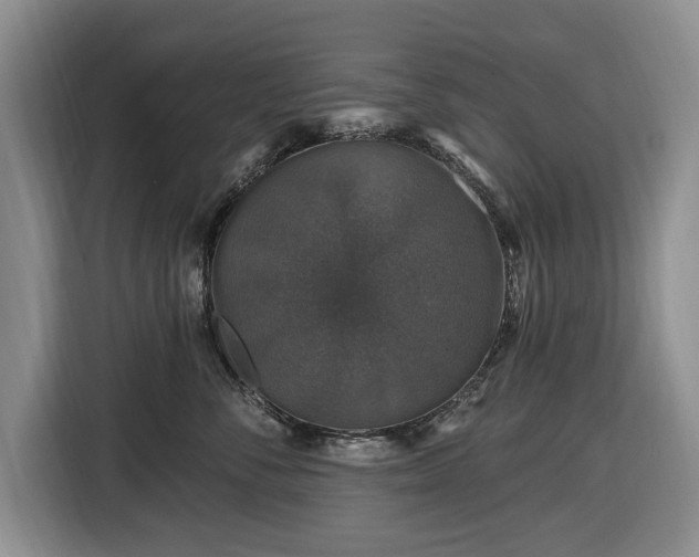 X0000116450716200912151300