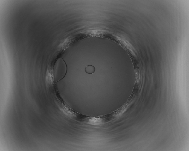 X0000116450718200912151300