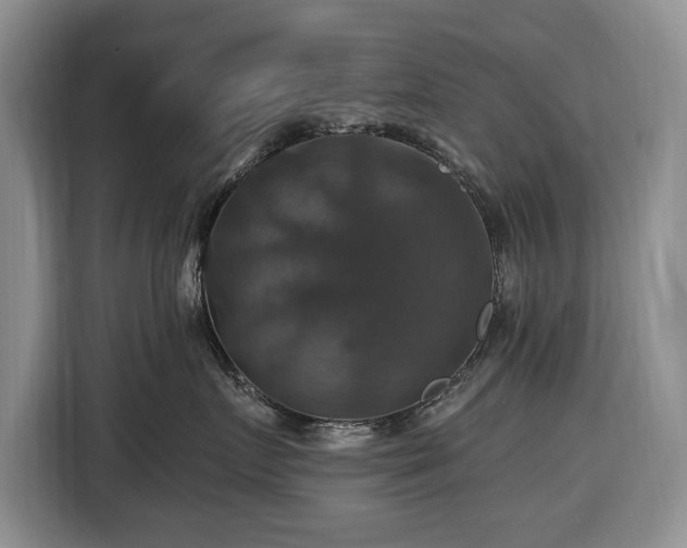 X0000116450719200912151300