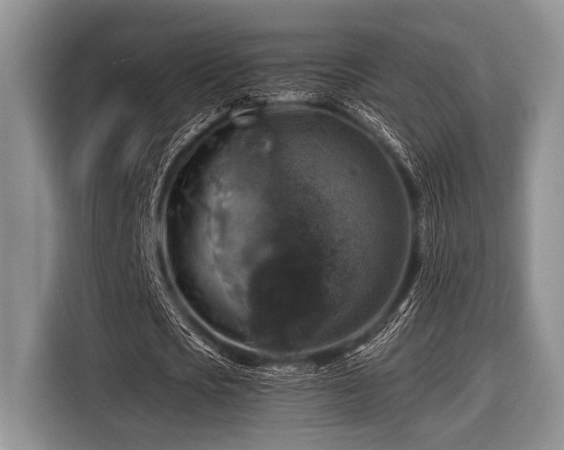 X0000116450721200912151259