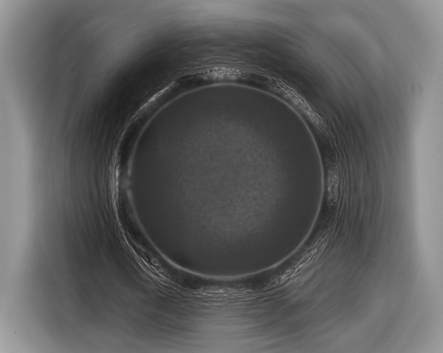 X0000116450722200912151259