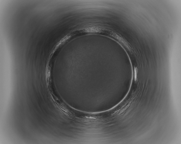 X0000116450723200912151259