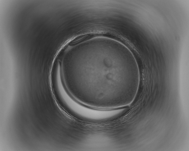 X0000116450726200912151259