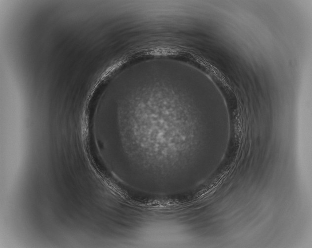 X0000116450727200912151259