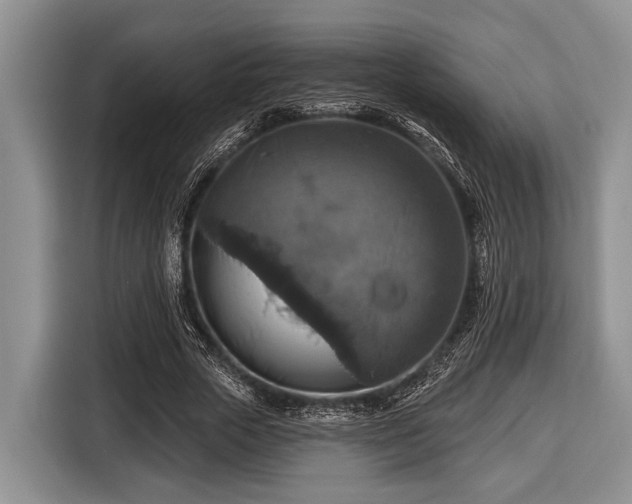 X0000116450729200912151259