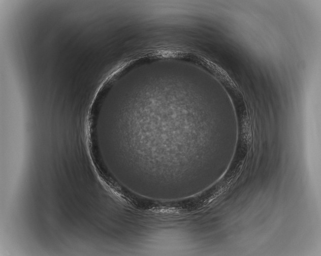 X0000116450730200912151259