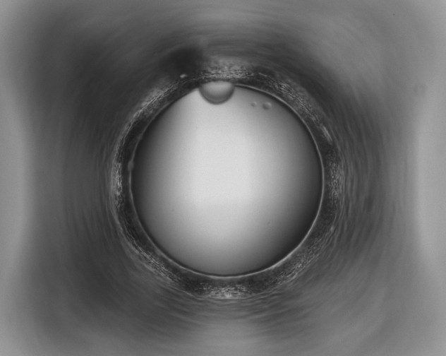 X0000116450731200912151259