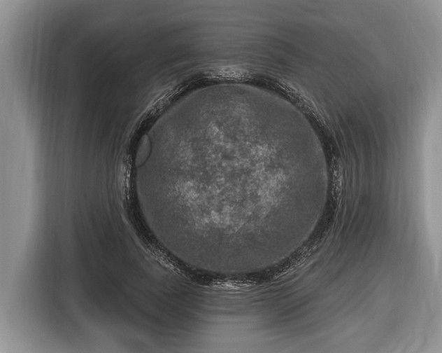 X0000116450739200912151259