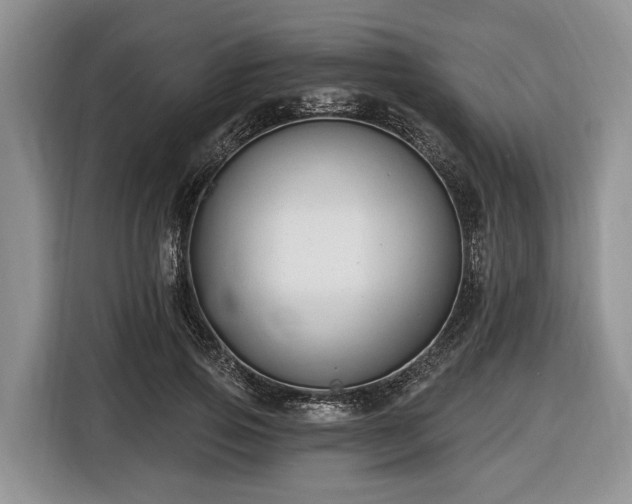 X0000116450741200912151300