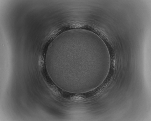 X0000116450743200912151300