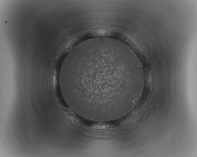 X0000116450746200912151300