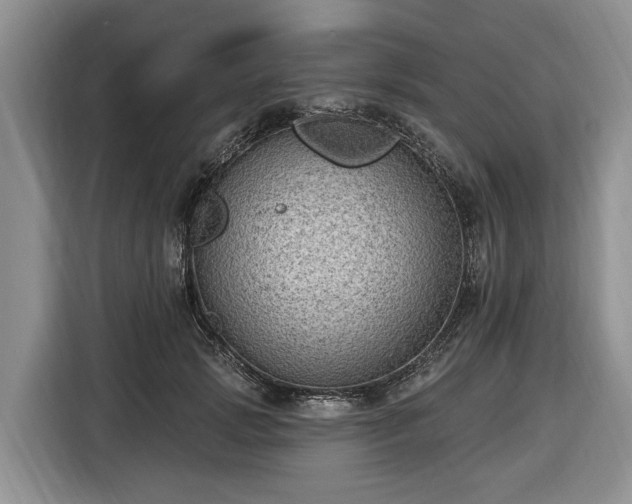 X0000116450749200912151300