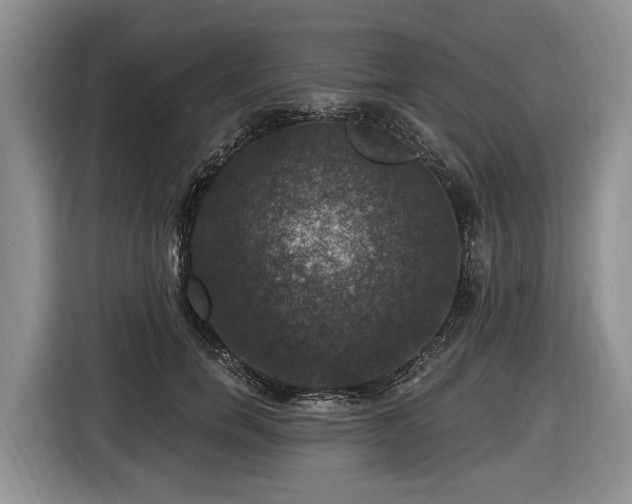 X0000116450750200912151300