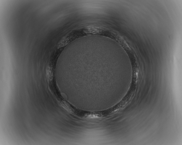 X0000116450751200912151300