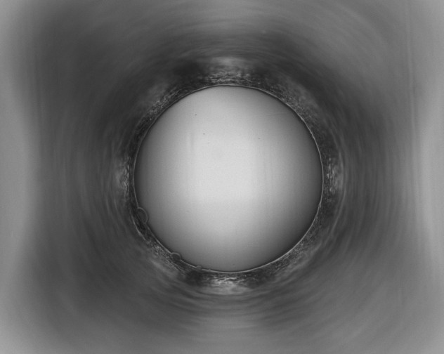 X0000116450753200912151300
