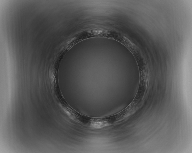 X0000116450754200912151300