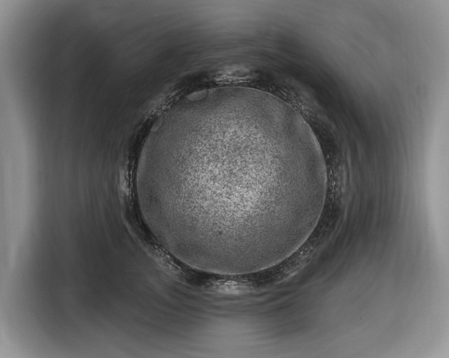 X0000116450755200912151300