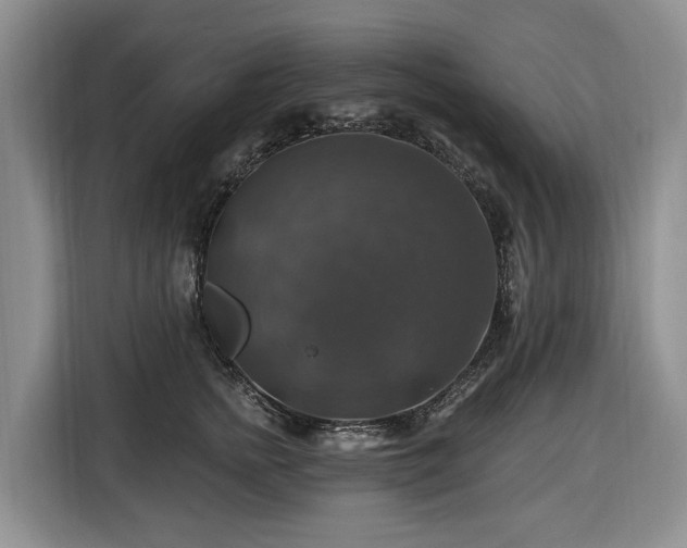 X0000116450758200912151300