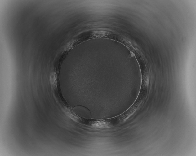 X0000116450759200912151300