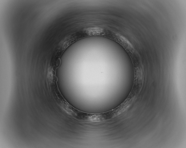 X0000116450761200912151300