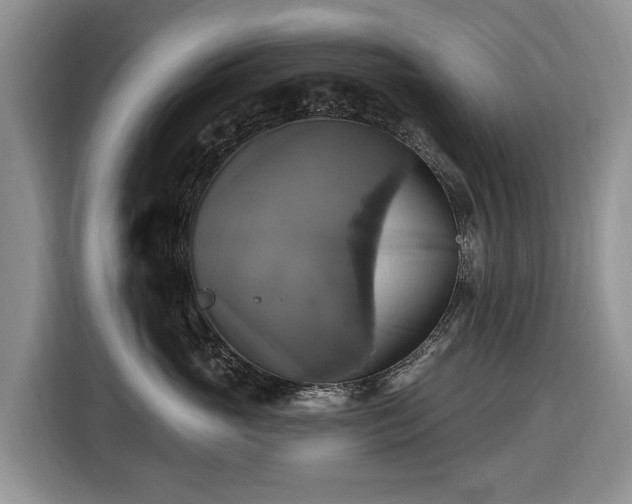 X0000116450765200912151300