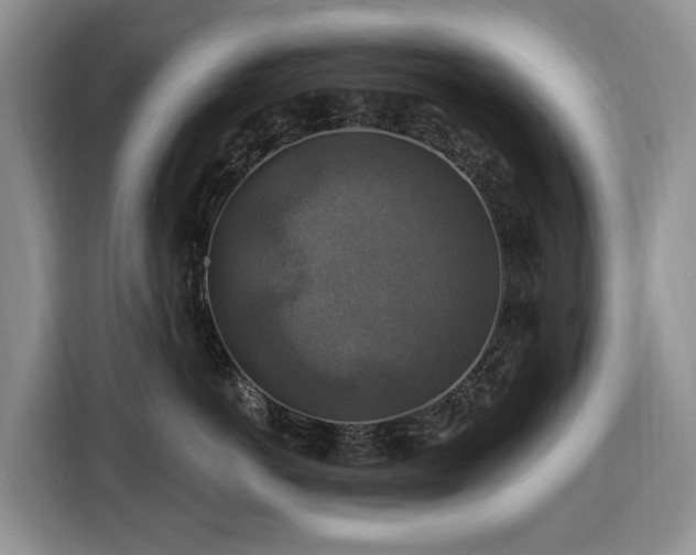 X0000116450766200912151300