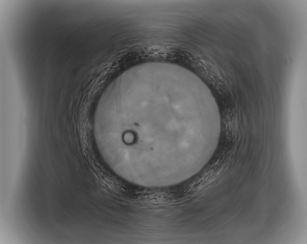 X0000116450769200912151259