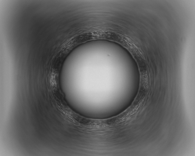 X0000116450770200912151259