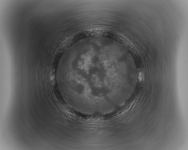 X0000116450771200912151259