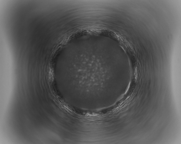 X0000116450772200912151259