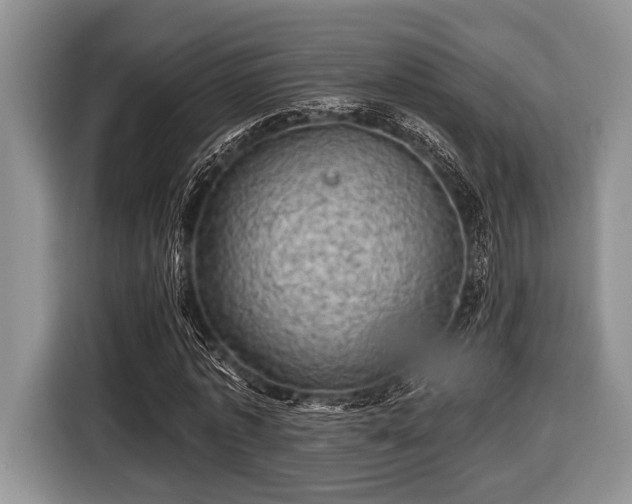 X0000116450773200912151259