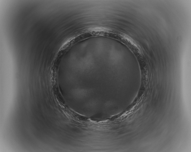 X0000116450775200912151259