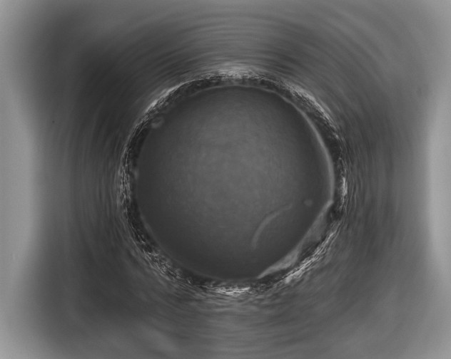 X0000116450776200912151259
