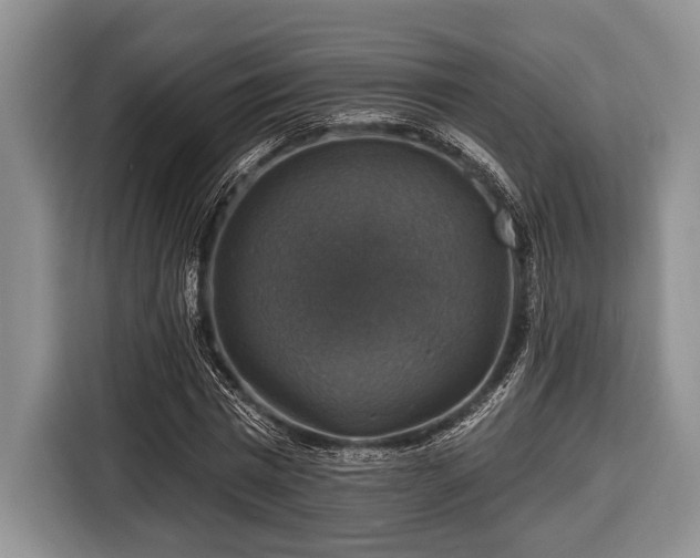 X0000116450777200912151259