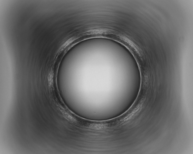 X0000116450778200912151259