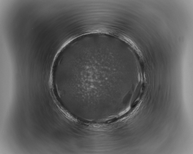 X0000116450780200912151259