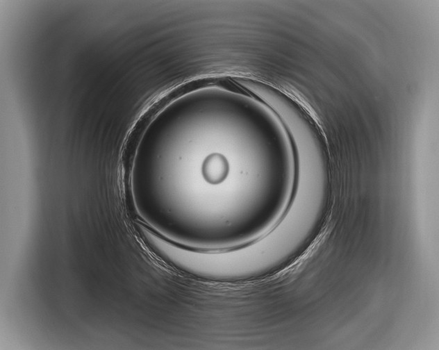 X0000116450781200912151259