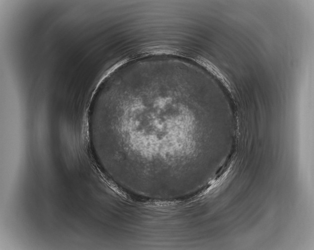 X0000116450782200912151259